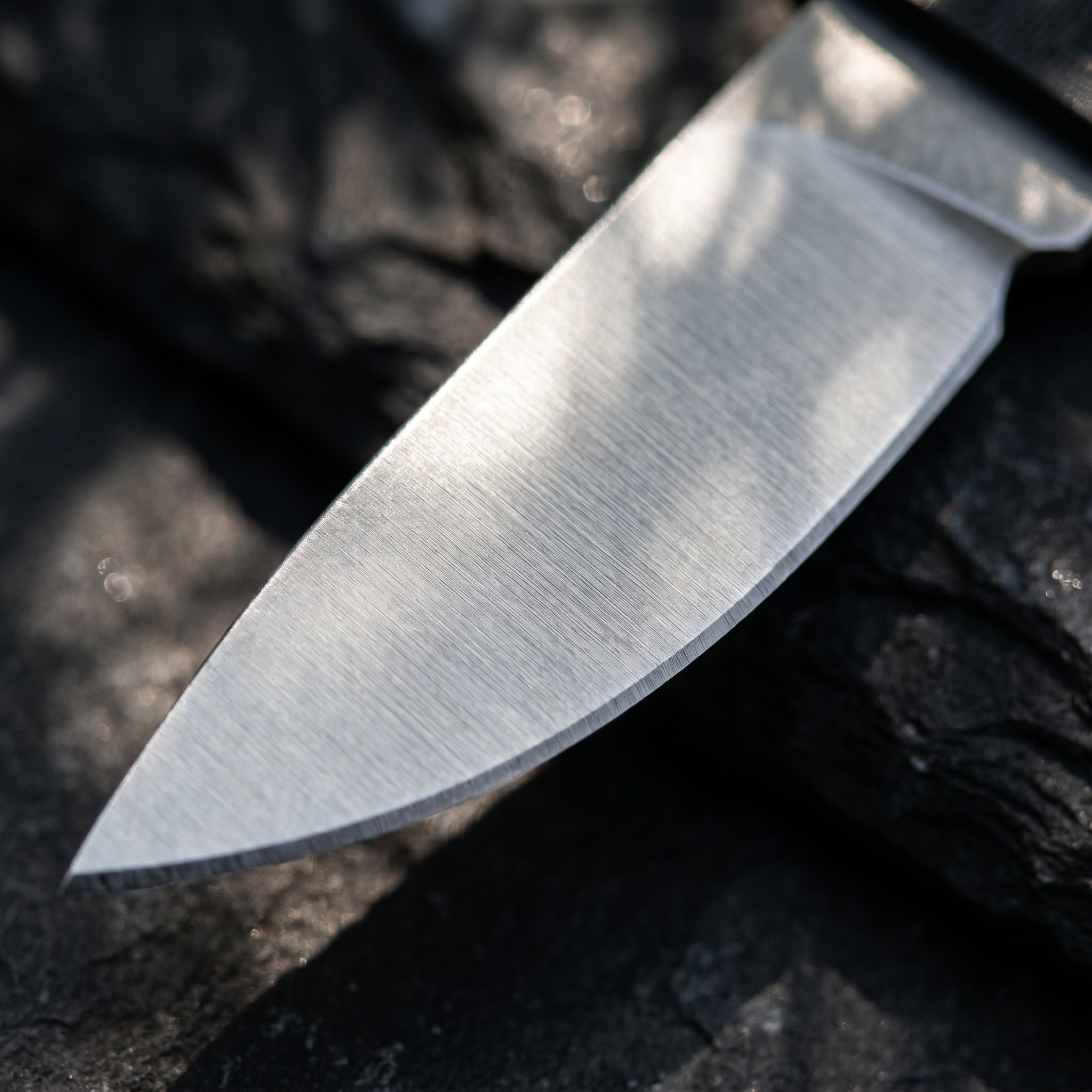 Portable Folding Pocket Knife  - Edc Concealed Carry Knife のレビューと価格